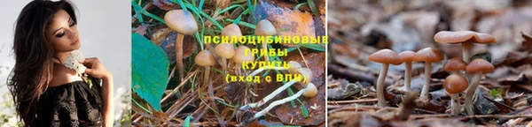 кокс Абаза